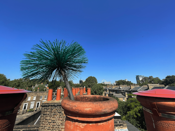 Chimney cleaning